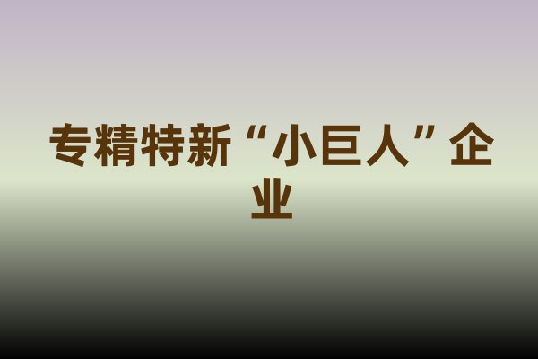 专精特新“小巨人”企业认定标准