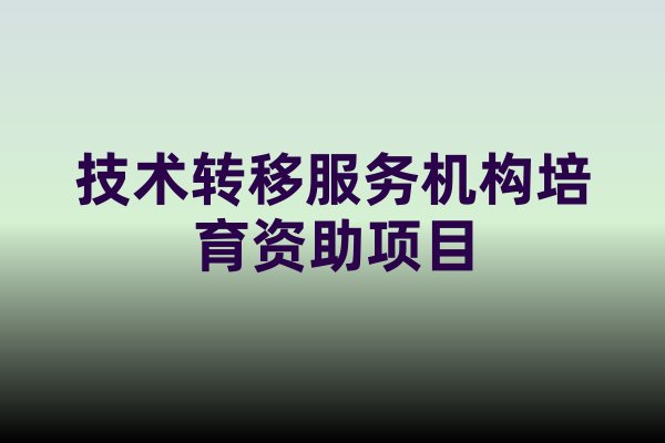 深圳市2024年度技术转移服务机构培育资助项目