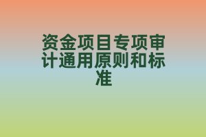 《深圳市工業(yè)和信息化局專項資金項目專項審計通用原則和標(biāo)準(zhǔn)（2022版）》政策解讀